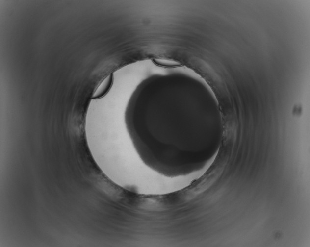 X0000102040285200808081842