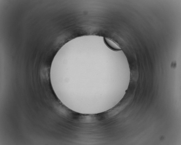 X0000102040286200808081842