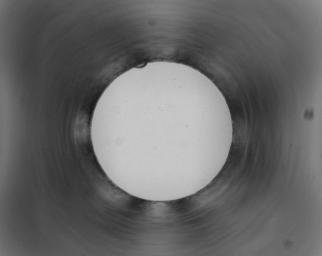 X0000102040287200808081842