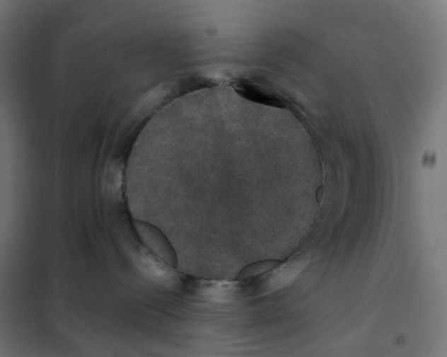 X0000102040288200808081842