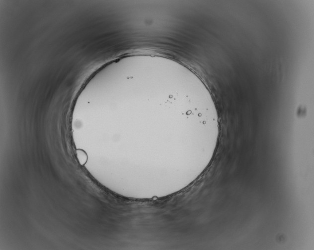 X0000102040289200808081841