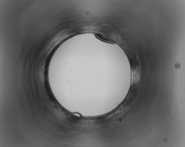 X0000102040291200808081841