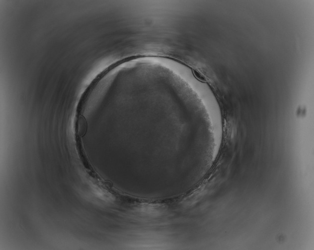 X0000102040292200808081841