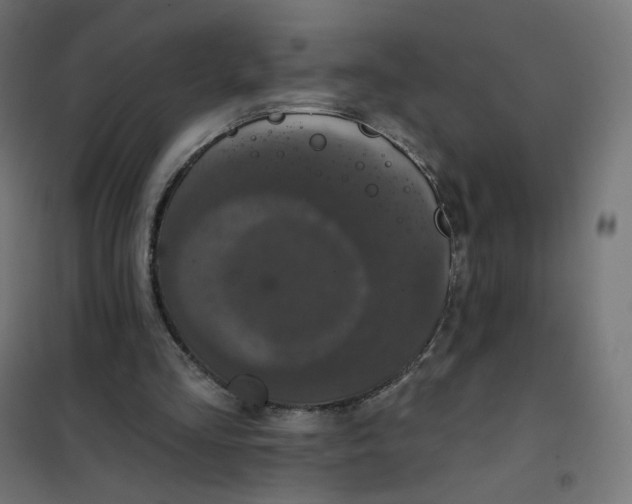 X0000102040293200808081841