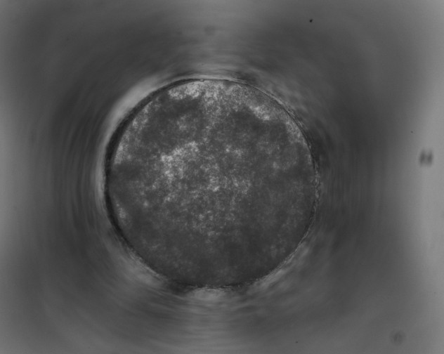 X0000102040294200808081841