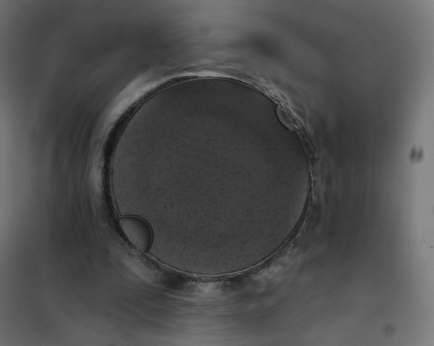 X0000102040295200808081841