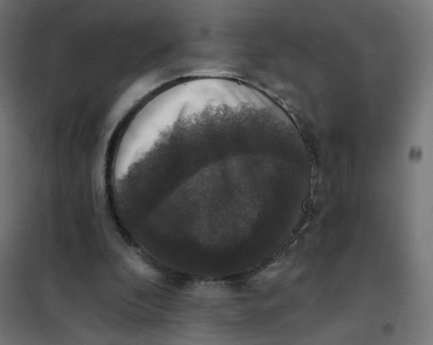 X0000102040296200808081841