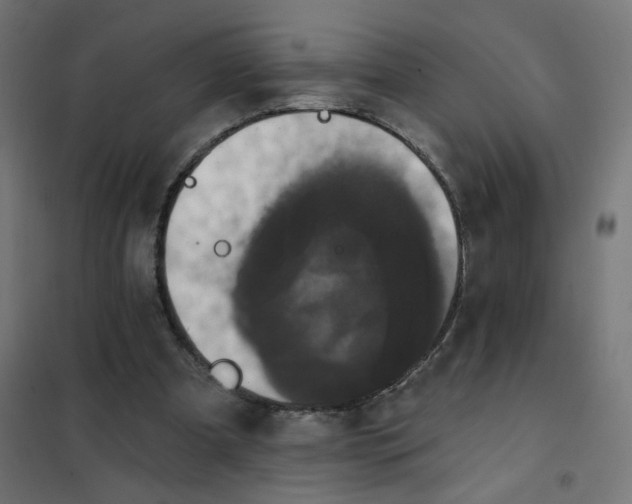 X0000102040297200808081841