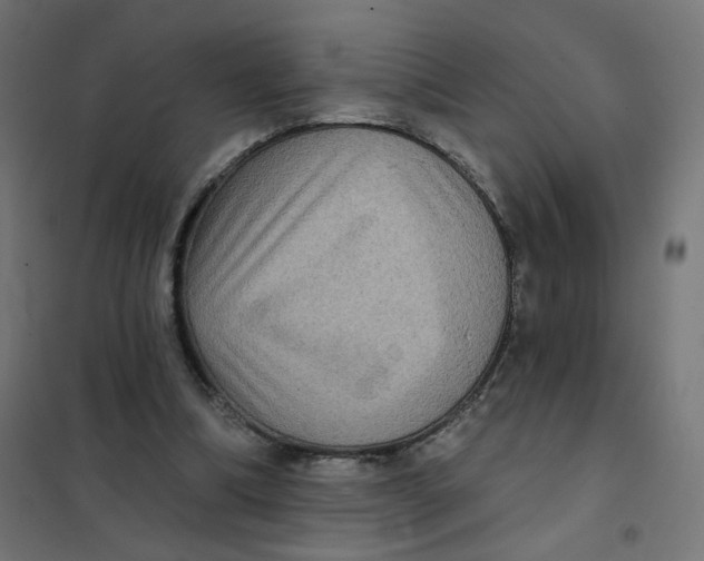 X0000102040298200808081841