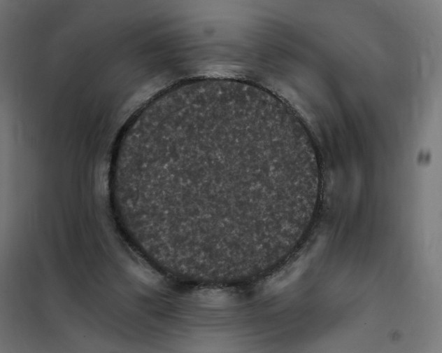 X0000102040299200808081841