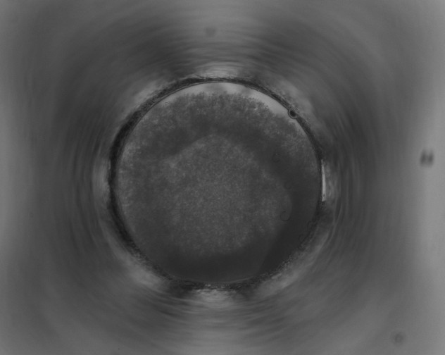 X0000102040300200808081841