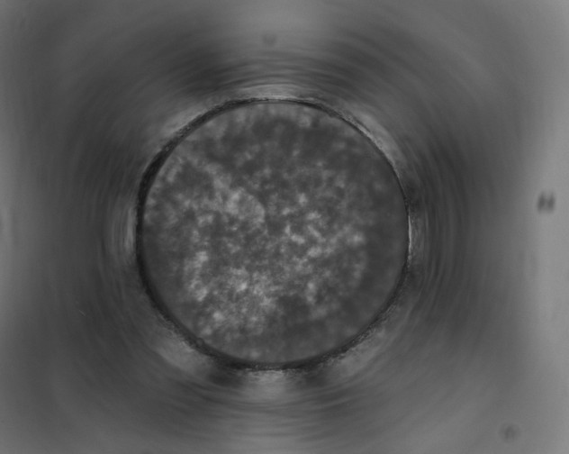 X0000102040301200808081841