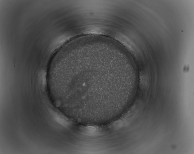 X0000102040302200808081841