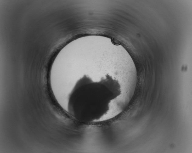 X0000102040303200808081841