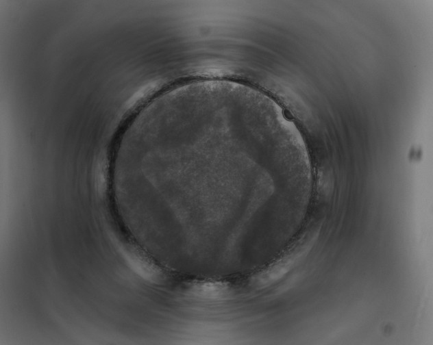 X0000102040304200808081841