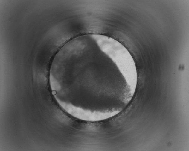 X0000102040305200808081841