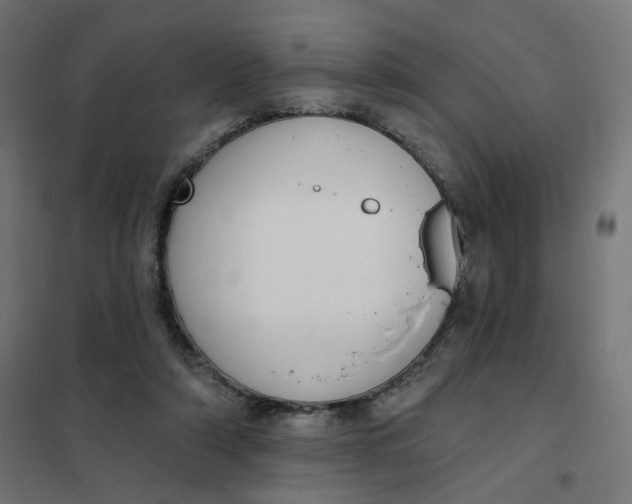 X0000102040306200808081841