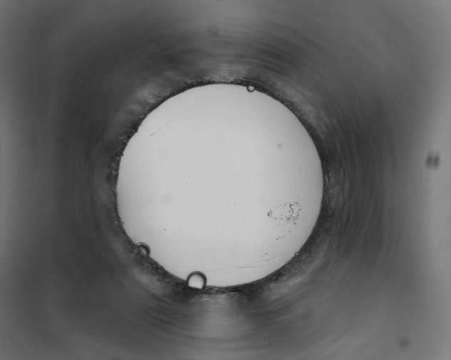 X0000102040307200808081841