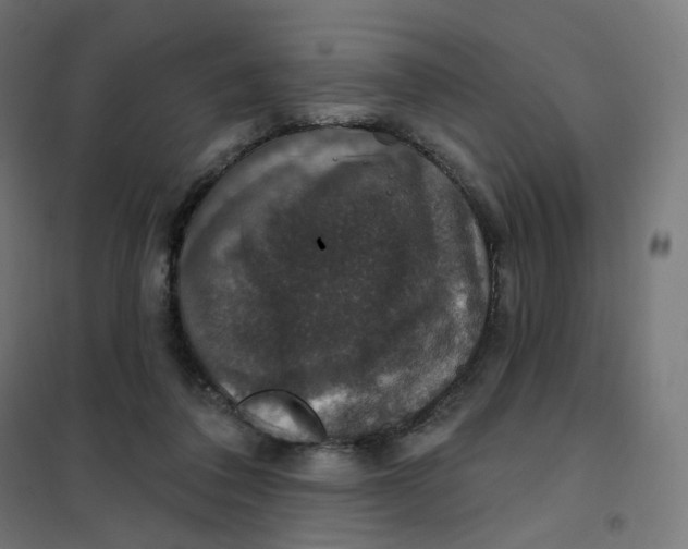 X0000102040308200808081841