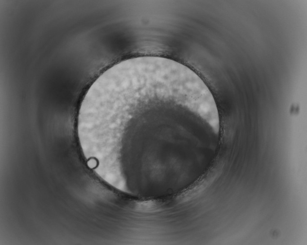 X0000102040309200808081841