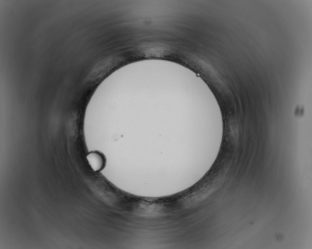 X0000102040311200808081841