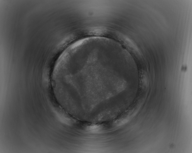 X0000102040312200808081841