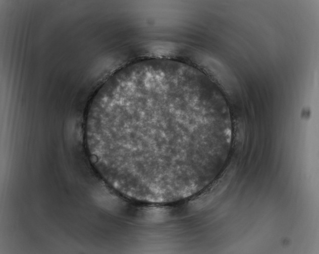 X0000102040313200808081841