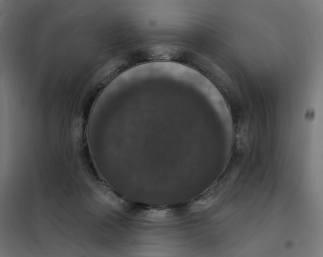 X0000102040314200808081841