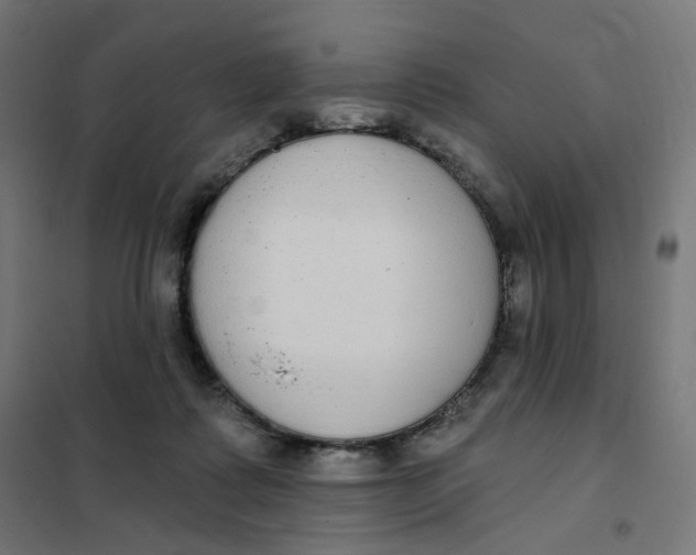 X0000102040315200808081841