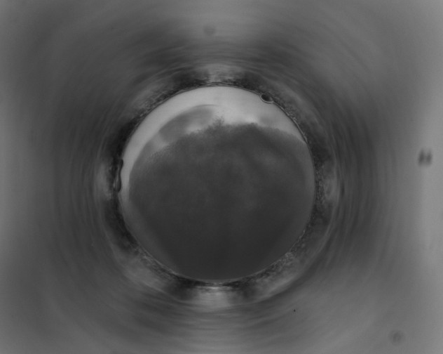 X0000102040316200808081841