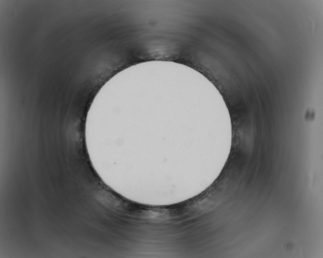 X0000102040317200808081841