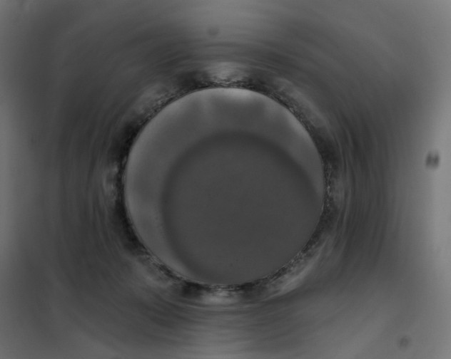 X0000102040319200808081841