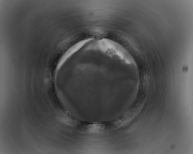 X0000102040320200808081841