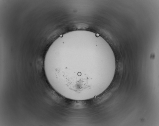 X0000102040321200808081841