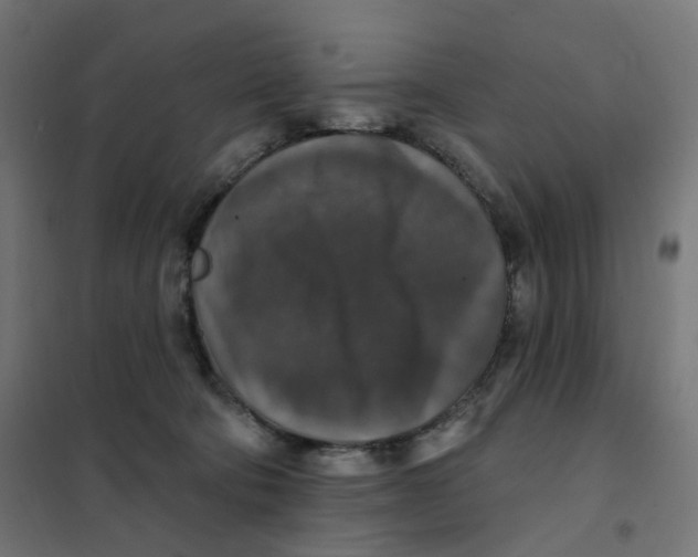 X0000102040322200808081841