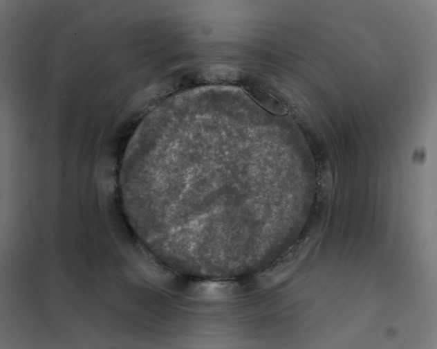 X0000102040323200808081841