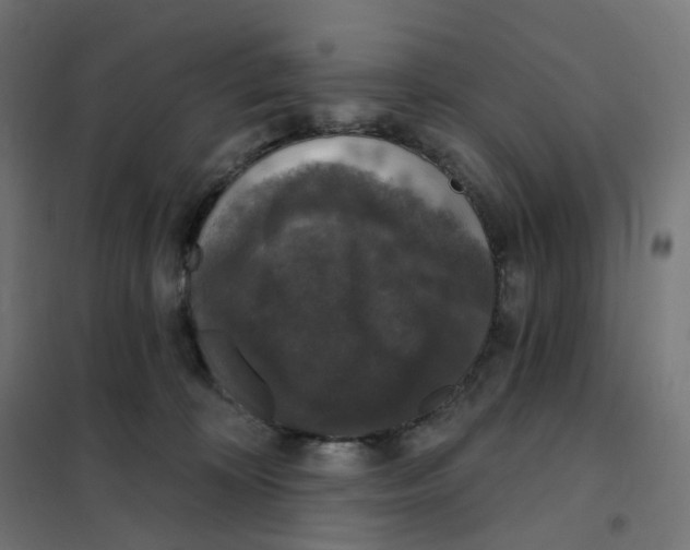 X0000102040324200808081841