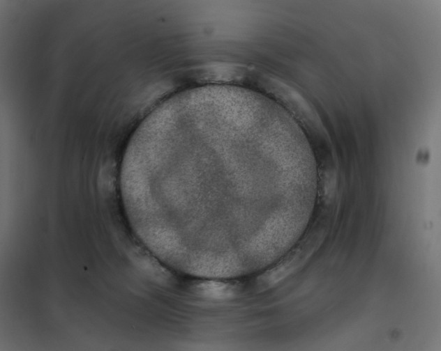 X0000102040326200808081841