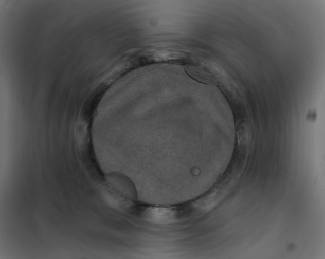 X0000102040327200808081841