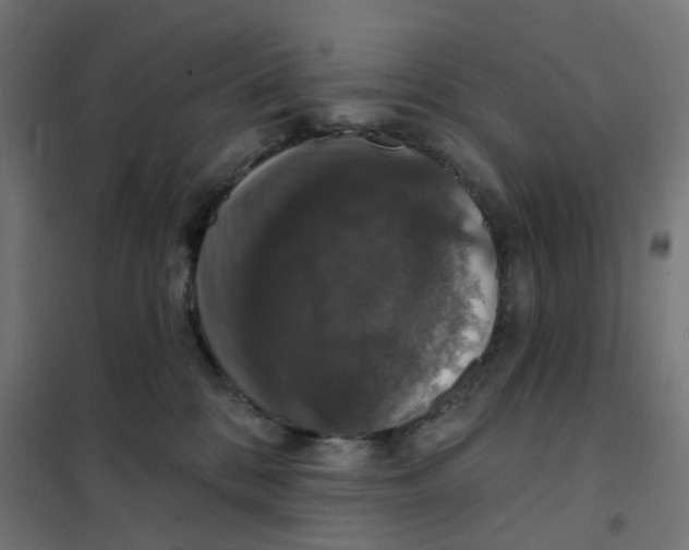 X0000102040328200808081840