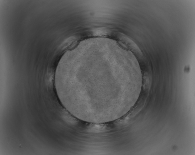 X0000102040329200808081840