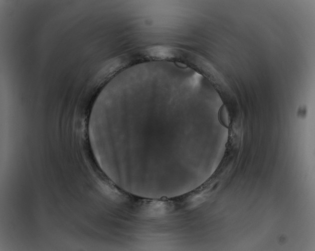 X0000102040330200808081840