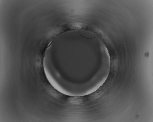 X0000102040331200808081840