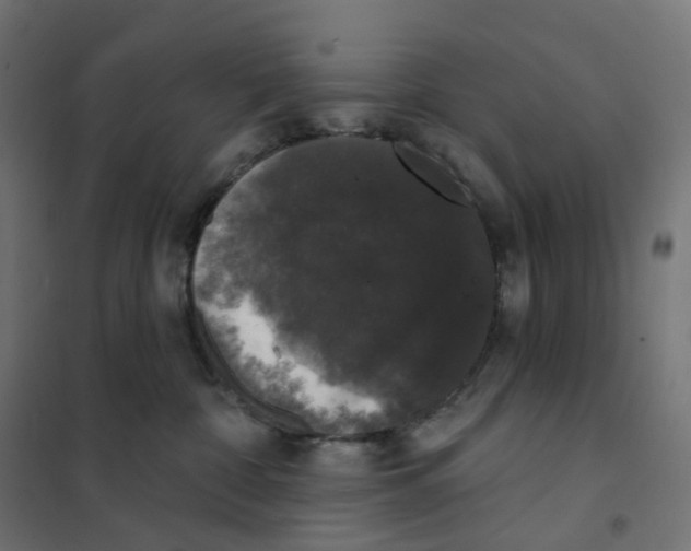 X0000102040332200808081840