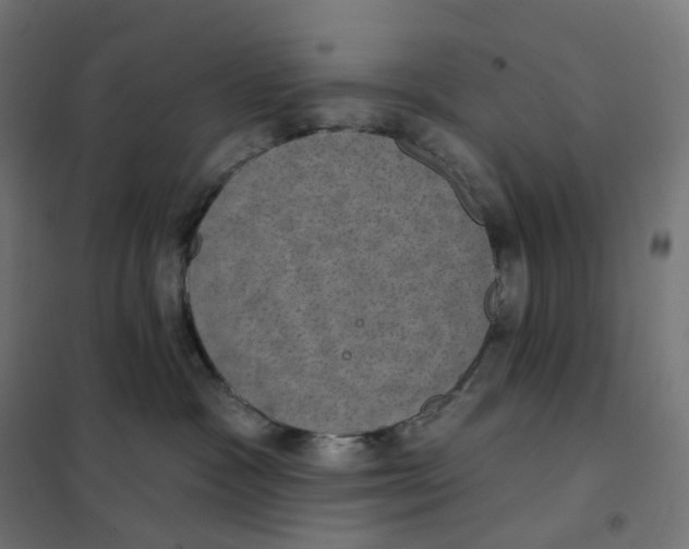 X0000102040333200808081840