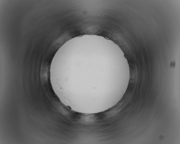 X0000102040334200808081840