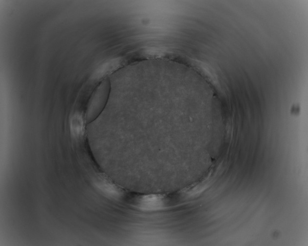 X0000102040335200808081840