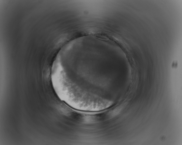 X0000102040336200808081840