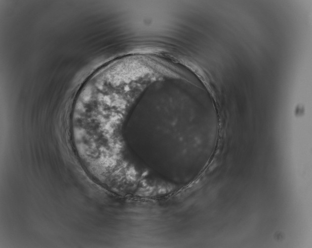 X0000102040337200808081840