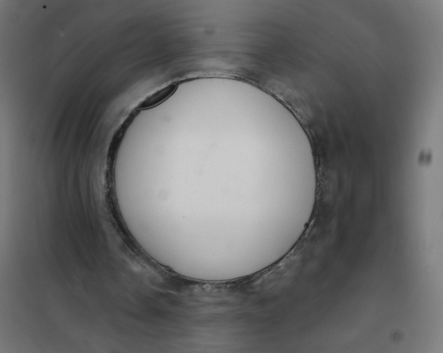 X0000102040338200808081840